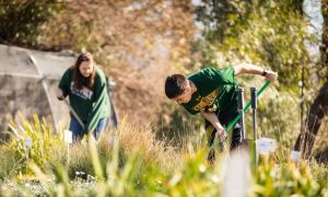 Two Cal Poly students doing volunteer work at Growing Grounds Farm.